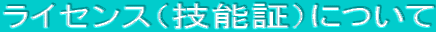 ���C�Z���X�i�Z�\�؁j�ɂ���