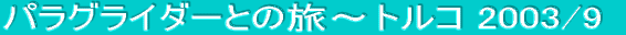 �p���O���C�_�[�Ƃ̗��`�g���R