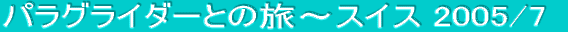 �p���O���C�_�[�Ƃ̗��`�X�C�X