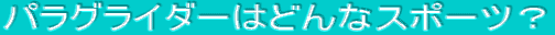 �p���O���C�_�[�͂ǂ�ȃX�|�[�c�H