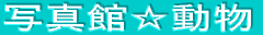�ʐ^�ف�����