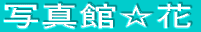 ���C�Z���X�i�Z�\�؁j�ɂ���
