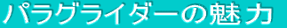 �p���O���C�_�[�͂ǂ�ȃX�|�[�c�H
